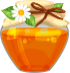عسل گل وحشی